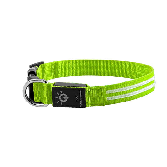 USB aufladbarer LED-Hundehalsband "BauBau"