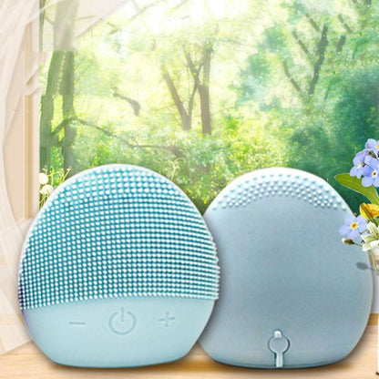 Body care - USB Facial facial cleansing brush